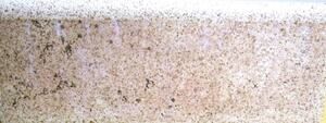 Spanish Gres Monococción Ceramic Tile Brown Tan Speckled 3x8 inches Backsplash